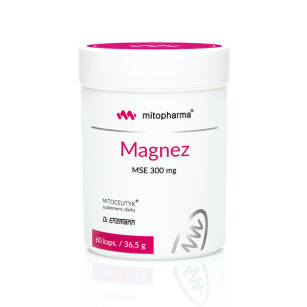 Magnez 300 mg MSE dr Enzmann 60 tab