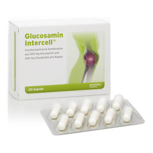 Glucosamin Intercell 120kaps GLUKOZAMINA